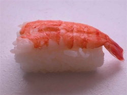 Nigiri, Ebi