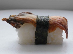 Nigiri, Unagi